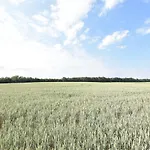 Mit Schwimmbad In Dargun Barlin