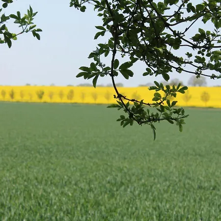 Semesterbostad Mit Schwimmbad In Dargun *