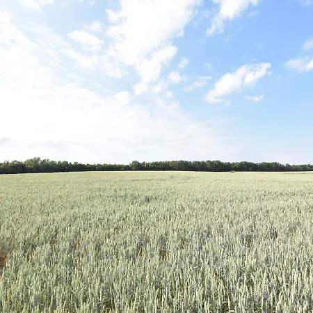 Mit Schwimmbad In Dargun Barlin