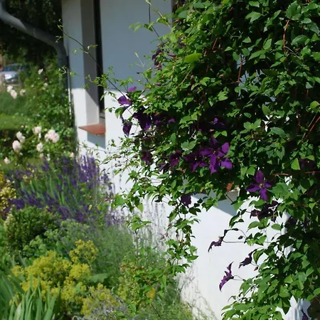 Mit Schwimmbad In Dargun * Barlin